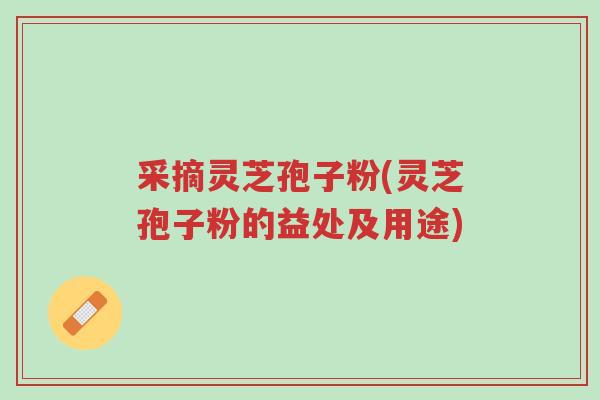 采摘灵芝孢子粉(灵芝孢子粉的益处及用途)-第1张图片-超越 采摘灵芝孢子粉(灵芝孢子粉的益处及用途)-第1张图片-超越