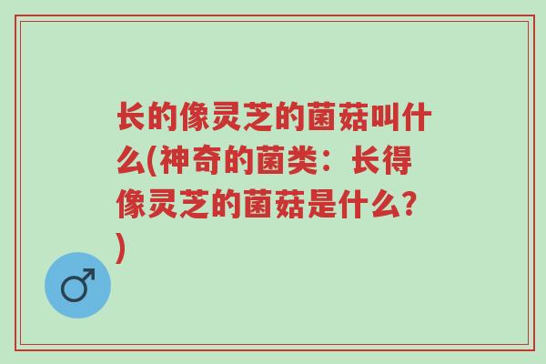 长的像灵芝的菌菇叫什么(神奇的菌类:长得像灵芝的菌菇是什么?)-第1张图片-超越 长的像灵芝的菌菇叫什么(神奇的菌类:长得像灵芝的菌菇是什么?)-第1张图片-超越
