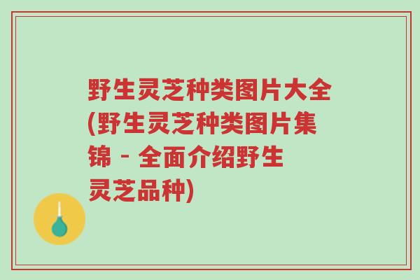 野生灵芝种类图片大全(野生灵芝种类图片集锦 - 全面介绍野生灵芝品种)-第1张图片-超越 野生灵芝种类图片大全(野生灵芝种类图片集锦 - 全面介绍野生灵芝品种)-第1张图片-超越