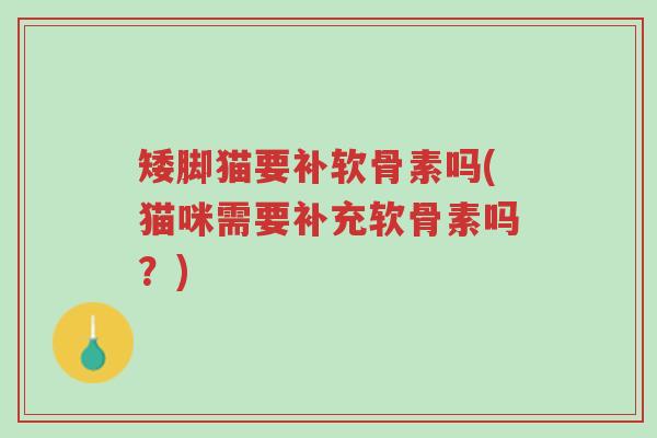 矮脚猫要补软骨素吗(猫咪需要补充软骨素吗?)-第1张图片-超越 矮脚猫要补软骨素吗(猫咪需要补充软骨素吗?)-第1张图片-超越