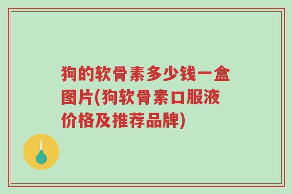 狗的软骨素多少钱一盒图片(狗软骨素口服液价格及推荐品牌)-第1张图片-超越 狗的软骨素多少钱一盒图片(狗软骨素口服液价格及推荐品牌)-第1张图片-超越