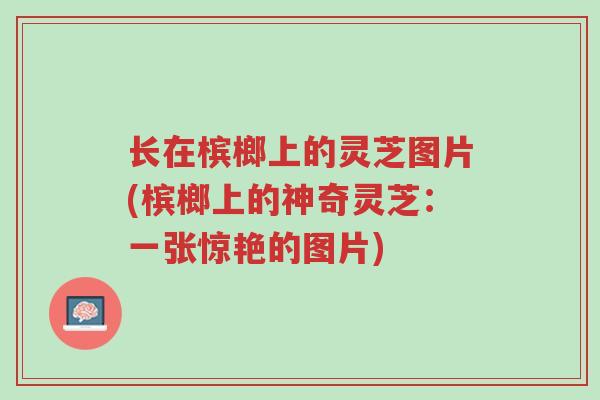 长在槟榔上的灵芝图片(槟榔上的神奇灵芝:一张惊艳的图片)-第1张图片-超越 长在槟榔上的灵芝图片(槟榔上的神奇灵芝:一张惊艳的图片)-第1张图片-超越