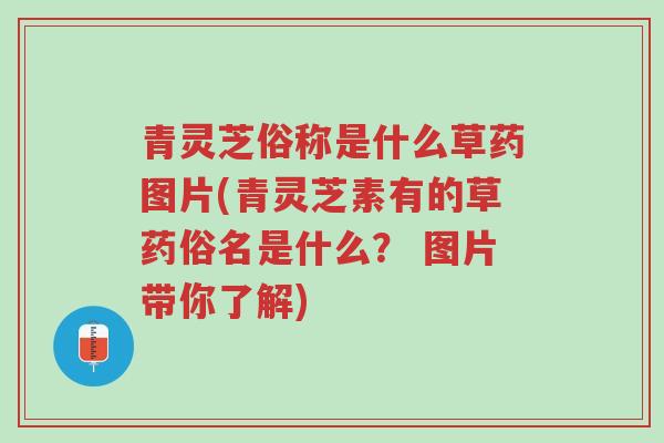 青灵芝俗称是什么草药图片(青灵芝素有的草药俗名是什么? 图片带你了解)-第1张图片-超越 青灵芝俗称是什么草药图片(青灵芝素有的草药俗名是什么? 图片带你了解)-第1张图片-超越