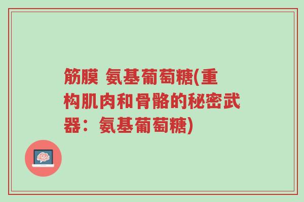筋膜 氨基葡萄糖(重构肌肉和骨骼的秘密武器:氨基葡萄糖)-第1张图片-超越 筋膜 氨基葡萄糖(重构肌肉和骨骼的秘密武器:氨基葡萄糖)-第1张图片-超越