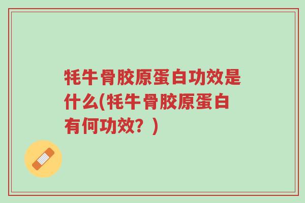 牦牛骨胶原蛋白功效是什么(牦牛骨胶原蛋白有何功效?)-第1张图片-超越 牦牛骨胶原蛋白功效是什么(牦牛骨胶原蛋白有何功效?)-第1张图片-超越