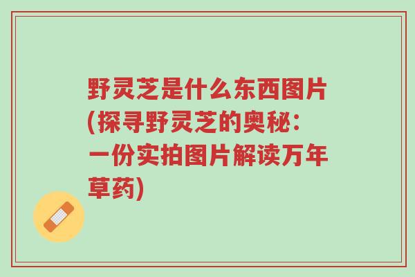 野灵芝是什么东西图片(探寻野灵芝的奥秘:一份实拍图片解读万年草药)-第1张图片-超越 野灵芝是什么东西图片(探寻野灵芝的奥秘:一份实拍图片解读万年草药)-第1张图片-超越