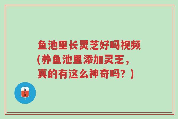 鱼池里长灵芝好吗视频(养鱼池里添加灵芝，真的有这么神奇吗？)-第1张图片-超越