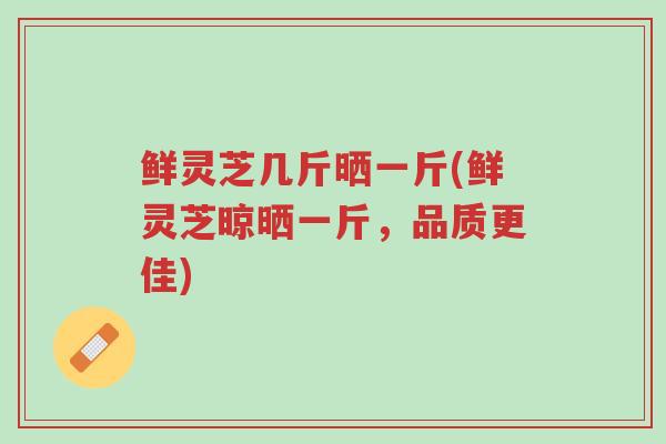 鲜灵芝几斤晒一斤(鲜灵芝晾晒一斤,品质更佳)-第1张图片-超越 鲜灵芝几斤晒一斤(鲜灵芝晾晒一斤,品质更佳)-第1张图片-超越