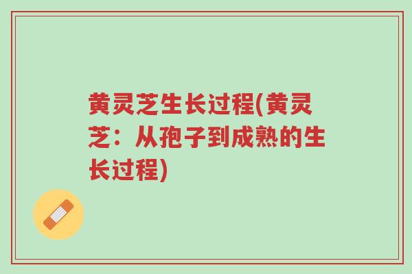黄灵芝生长过程(黄灵芝:从孢子到成熟的生长过程)-第1张图片-超越 黄灵芝生长过程(黄灵芝:从孢子到成熟的生长过程)-第1张图片-超越