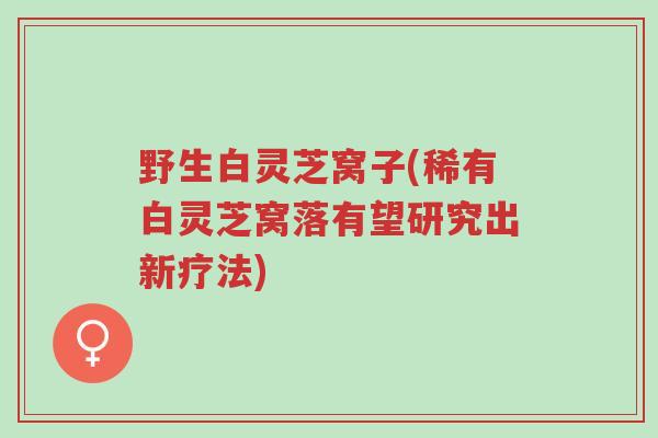 野生白灵芝窝子(稀有白灵芝窝落有望研究出新疗法)-第1张图片-超越 野生白灵芝窝子(稀有白灵芝窝落有望研究出新疗法)-第1张图片-超越