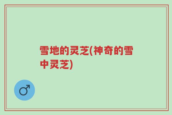 雪地的灵芝(神奇的雪中灵芝)-第1张图片-超越 雪地的灵芝(神奇的雪中灵芝)-第1张图片-超越