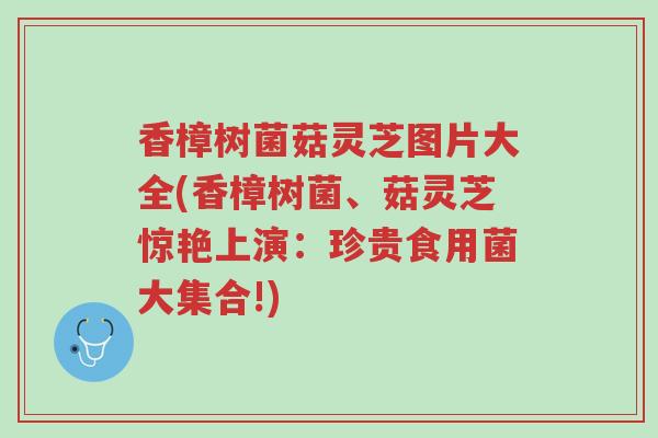 香樟树菌菇灵芝图片大全(香樟树菌、菇灵芝惊艳上演：珍贵食用菌大集合!)-第1张图片-超越