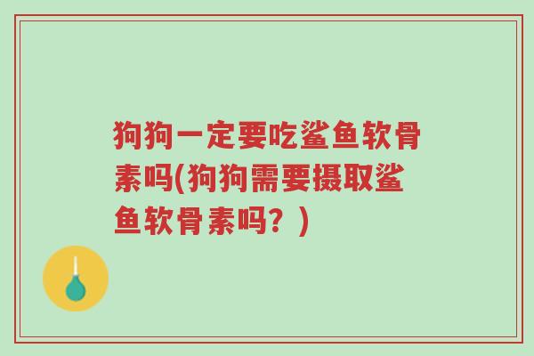 狗狗一定要吃鲨鱼软骨素吗(狗狗需要摄取鲨鱼软骨素吗?)-第1张图片-超越 狗狗一定要吃鲨鱼软骨素吗(狗狗需要摄取鲨鱼软骨素吗?)-第1张图片-超越
