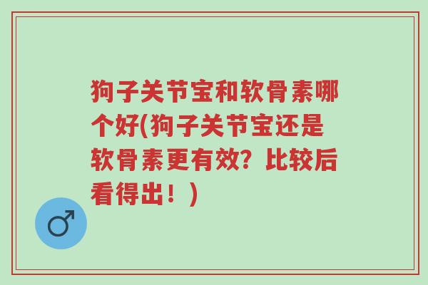狗子关节宝和软骨素哪个好(狗子关节宝还是软骨素更有效?比较后看得出!)-第1张图片-超越 狗子关节宝和软骨素哪个好(狗子关节宝还是软骨素更有效?比较后看得出!)-第1张图片-超越