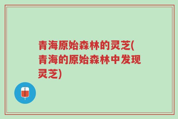 青海原始森林的灵芝(青海的原始森林中发现灵芝)-第1张图片-超越
