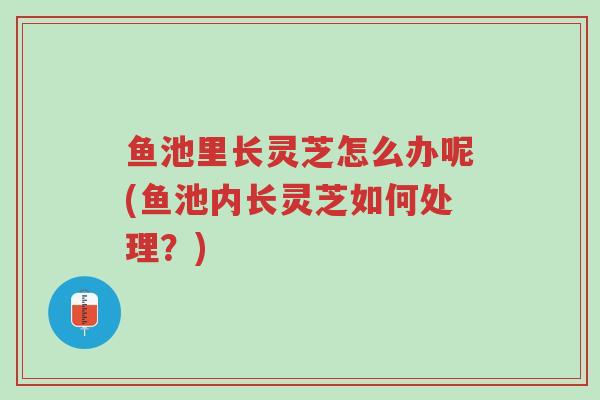 鱼池里长灵芝怎么办呢(鱼池内长灵芝如何处理?)-第1张图片-超越 鱼池里长灵芝怎么办呢(鱼池内长灵芝如何处理?)-第1张图片-超越