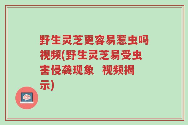 野生灵芝更容易惹虫吗视频(野生灵芝易受虫害侵袭现象 视频揭示)-第1张图片-超越 野生灵芝更容易惹虫吗视频(野生灵芝易受虫害侵袭现象 视频揭示)-第1张图片-超越