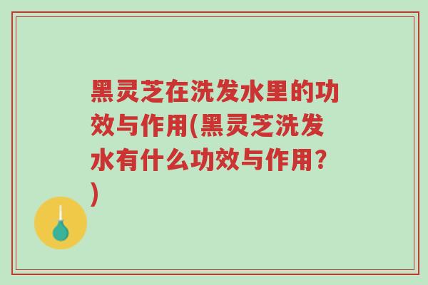 黑灵芝在洗发水里的功效与作用(黑灵芝洗发水有什么功效与作用?)-第1张图片-超越 黑灵芝在洗发水里的功效与作用(黑灵芝洗发水有什么功效与作用?)-第1张图片-超越