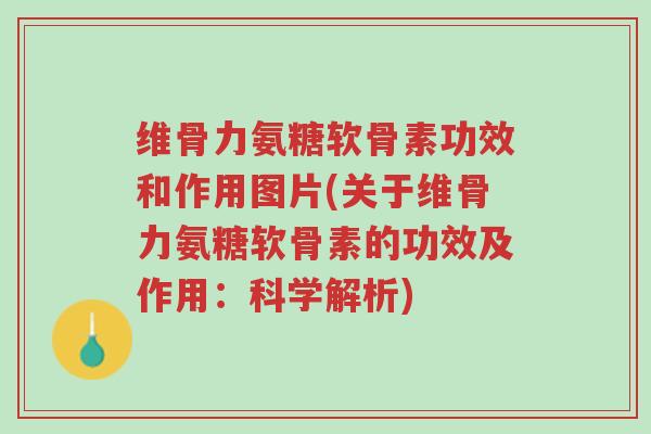 维骨力氨糖软骨素功效和作用图片(关于维骨力氨糖软骨素的功效及作用:科学解析)-第1张图片-超越 维骨力氨糖软骨素功效和作用图片(关于维骨力氨糖软骨素的功效及作用:科学解析)-第1张图片-超越
