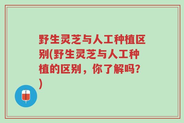 野生灵芝与人工种植区别(野生灵芝与人工种植的区别,你了解吗?)-第1张图片-超越 野生灵芝与人工种植区别(野生灵芝与人工种植的区别,你了解吗?)-第1张图片-超越