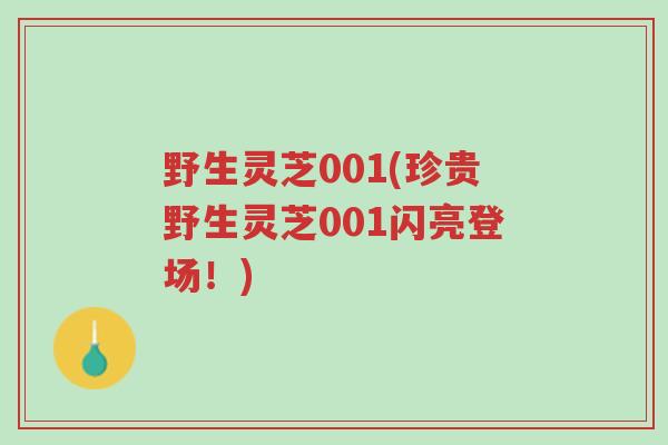 野生灵芝001(珍贵野生灵芝001闪亮登场!)-第1张图片-超越 野生灵芝001(珍贵野生灵芝001闪亮登场!)-第1张图片-超越
