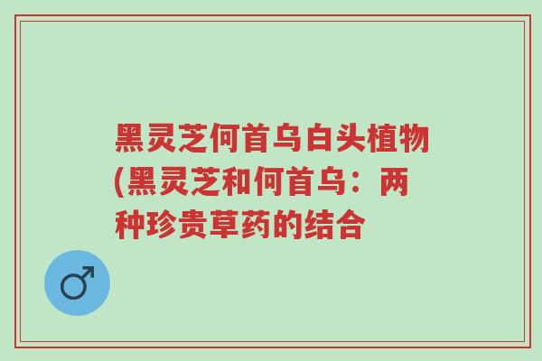 黑灵芝何首乌白头植物(黑灵芝和何首乌:两种珍贵草药的结合-第1张图片-超越 黑灵芝何首乌白头植物(黑灵芝和何首乌:两种珍贵草药的结合-第1张图片-超越