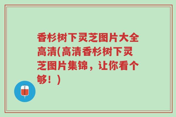 香杉树下灵芝图片大全高清(高清香杉树下灵芝图片集锦,让你看个够!)-第1张图片-超越 香杉树下灵芝图片大全高清(高清香杉树下灵芝图片集锦,让你看个够!)-第1张图片-超越