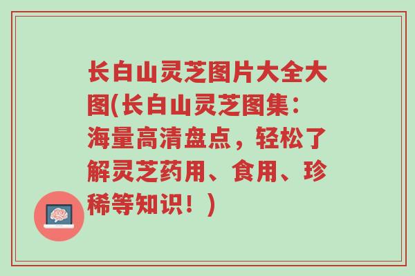 长白山灵芝图片大全大图(长白山灵芝图集:海量高清盘点,轻松了解灵芝药用、食用、珍稀等知识!)-第1张图片-超越 长白山灵芝图片大全大图(长白山灵芝图集:海量高清盘点,轻松了解灵芝药用、食用、珍稀等知识!)-第1张图片-超越