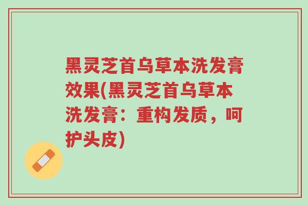 黑灵芝首乌草本洗发膏效果(黑灵芝首乌草本洗发膏:重构发质,呵护头皮)-第1张图片-超越 黑灵芝首乌草本洗发膏效果(黑灵芝首乌草本洗发膏:重构发质,呵护头皮)-第1张图片-超越