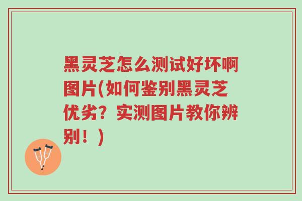 黑灵芝怎么测试好坏啊图片(如何鉴别黑灵芝优劣?实测图片教你辨别!)-第1张图片-超越 黑灵芝怎么测试好坏啊图片(如何鉴别黑灵芝优劣?实测图片教你辨别!)-第1张图片-超越