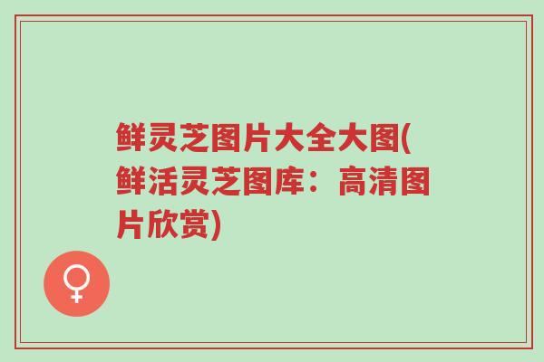 鲜灵芝图片大全大图(鲜活灵芝图库:高清图片欣赏)-第1张图片-超越 鲜灵芝图片大全大图(鲜活灵芝图库:高清图片欣赏)-第1张图片-超越