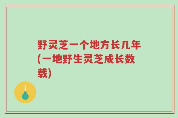 野灵芝一个地方长几年(一地野生灵芝成长数载)-第1张图片-超越 野灵芝一个地方长几年(一地野生灵芝成长数载)-第1张图片-超越