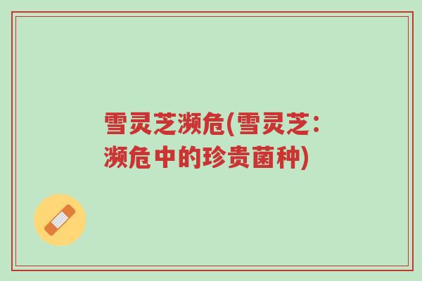 雪灵芝濒危(雪灵芝:濒危中的珍贵菌种)-第1张图片-超越 雪灵芝濒危(雪灵芝:濒危中的珍贵菌种)-第1张图片-超越