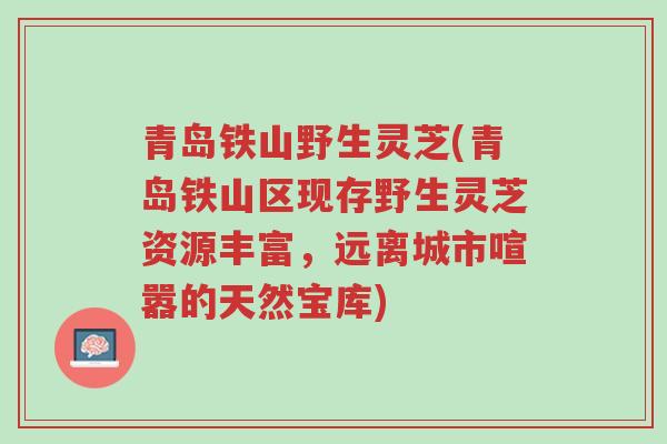 青岛铁山野生灵芝(青岛铁山区现存野生灵芝资源丰富,远离城市喧嚣的天然宝库)-第1张图片-超越 青岛铁山野生灵芝(青岛铁山区现存野生灵芝资源丰富,远离城市喧嚣的天然宝库)-第1张图片-超越