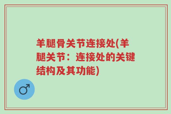 羊腿骨关节连接处(羊腿关节:连接处的关键结构及其功能)-第1张图片-超越 羊腿骨关节连接处(羊腿关节:连接处的关键结构及其功能)-第1张图片-超越