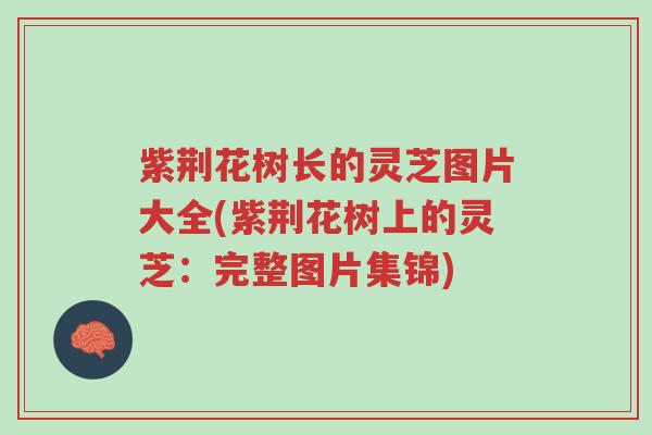 紫荆花树长的灵芝图片大全(紫荆花树上的灵芝：完整图片集锦)-第1张图片-超越