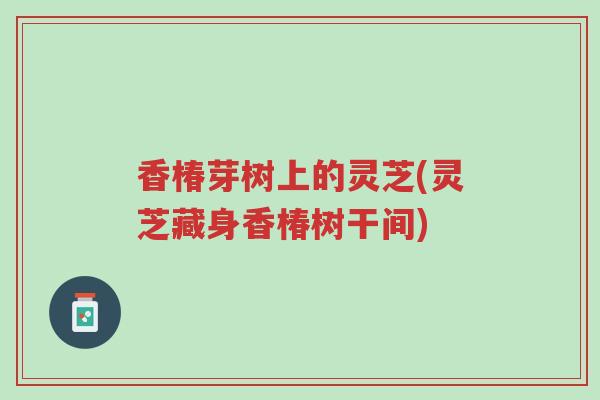 香椿芽树上的灵芝(灵芝藏身香椿树干间)-第1张图片-超越 香椿芽树上的灵芝(灵芝藏身香椿树干间)-第1张图片-超越