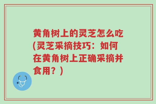 黄角树上的灵芝怎么吃(灵芝采摘技巧:如何在黄角树上正确采摘并食用?)-第1张图片-超越 黄角树上的灵芝怎么吃(灵芝采摘技巧:如何在黄角树上正确采摘并食用?)-第1张图片-超越