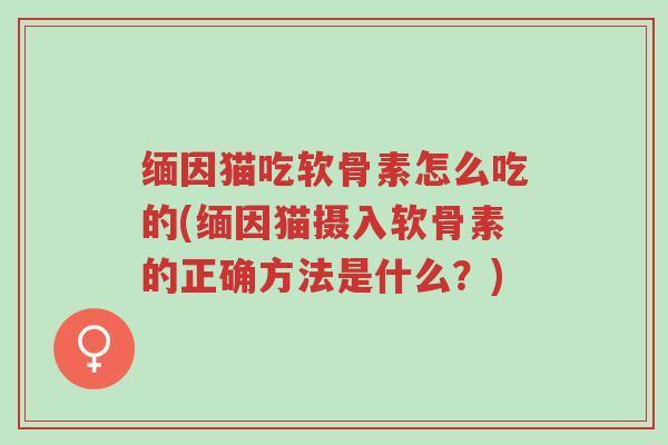 缅因猫吃软骨素怎么吃的(缅因猫摄入软骨素的正确方法是什么?)-第1张图片-超越 缅因猫吃软骨素怎么吃的(缅因猫摄入软骨素的正确方法是什么?)-第1张图片-超越