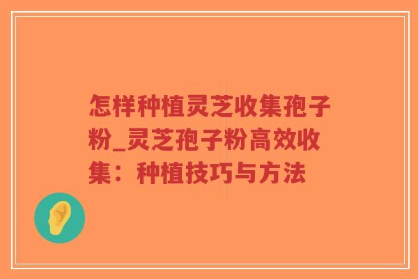 怎样种植灵芝收集孢子粉_灵芝孢子粉高效收集:种植技巧与方法-第1张图片-超越 怎样种植灵芝收集孢子粉_灵芝孢子粉高效收集:种植技巧与方法-第1张图片-超越