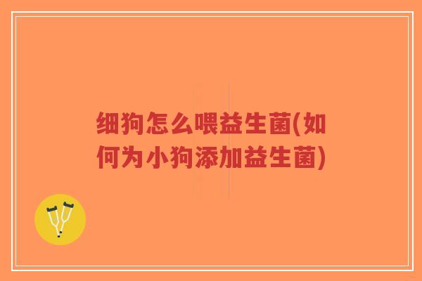 细狗怎么喂益生菌(如何为小狗添加益生菌)-第1张图片-超越 细狗怎么喂益生菌(如何为小狗添加益生菌)-第1张图片-超越