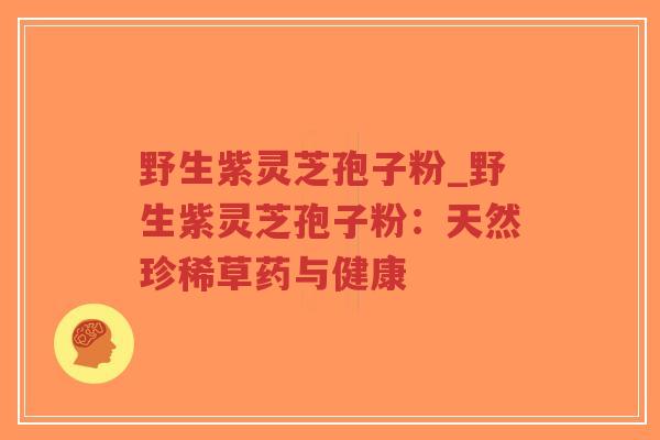 野生紫灵芝孢子粉_野生紫灵芝孢子粉:天然珍稀草药与健康-第1张图片-超越 野生紫灵芝孢子粉_野生紫灵芝孢子粉:天然珍稀草药与健康-第1张图片-超越