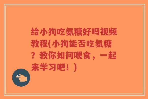 给小狗吃氨糖好吗视频教程(小狗能否吃氨糖?教你如何喂食,一起来学习吧!)-第1张图片-超越 给小狗吃氨糖好吗视频教程(小狗能否吃氨糖?教你如何喂食,一起来学习吧!)-第1张图片-超越