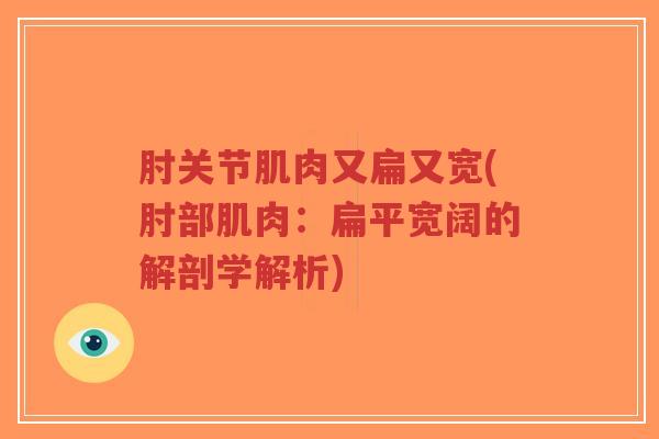 肘关节肌肉又扁又宽(肘部肌肉:扁平宽阔的解剖学解析)-第1张图片-超越 肘关节肌肉又扁又宽(肘部肌肉:扁平宽阔的解剖学解析)-第1张图片-超越