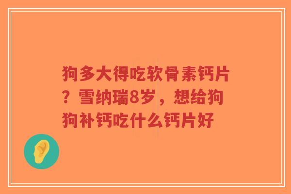 狗多大得吃软骨素钙片?雪纳瑞8岁,想给狗狗补钙吃什么钙片好-第1张图片-超越 狗多大得吃软骨素钙片?雪纳瑞8岁,想给狗狗补钙吃什么钙片好-第1张图片-超越
