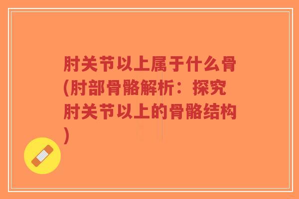肘关节以上属于什么骨(肘部骨骼解析:探究肘关节以上的骨骼结构)-第1张图片-超越 肘关节以上属于什么骨(肘部骨骼解析:探究肘关节以上的骨骼结构)-第1张图片-超越