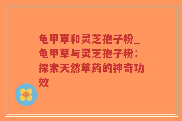 龟甲草和灵芝孢子粉_龟甲草与灵芝孢子粉:探索天然草药的神奇功效-第1张图片-超越 龟甲草和灵芝孢子粉_龟甲草与灵芝孢子粉:探索天然草药的神奇功效-第1张图片-超越