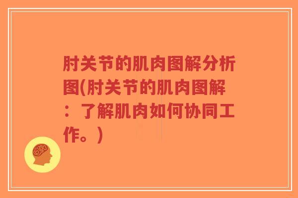 肘关节的肌肉图解分析图(肘关节的肌肉图解:了解肌肉如何协同工作。)-第1张图片-超越 肘关节的肌肉图解分析图(肘关节的肌肉图解:了解肌肉如何协同工作。)-第1张图片-超越