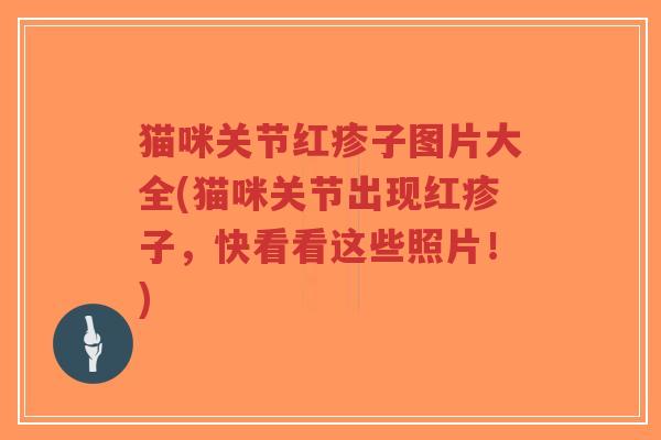 猫咪关节红疹子图片大全(猫咪关节出现红疹子,快看看这些照片!)-第1张图片-超越 猫咪关节红疹子图片大全(猫咪关节出现红疹子,快看看这些照片!)-第1张图片-超越