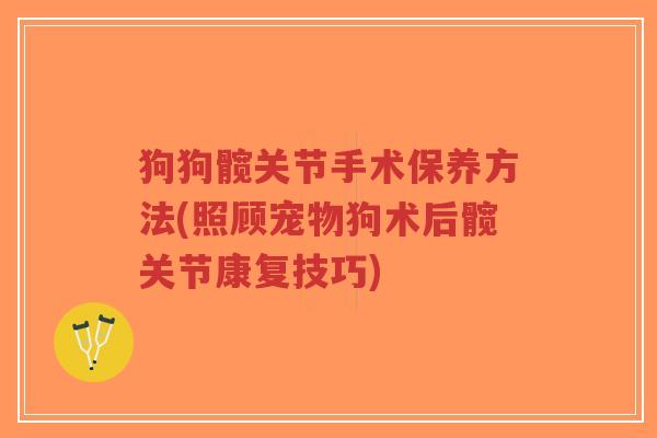 狗狗髋关节手术保养方法(照顾宠物狗术后髋关节康复技巧)-第1张图片-超越 狗狗髋关节手术保养方法(照顾宠物狗术后髋关节康复技巧)-第1张图片-超越
